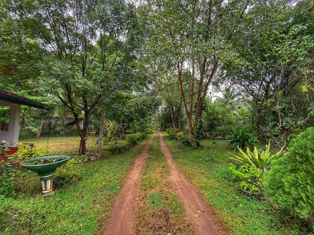 Guest house Globetrotter Tourist Inn Sigiriya